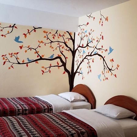 Nature Home קוסקו מראה חיצוני תמונה